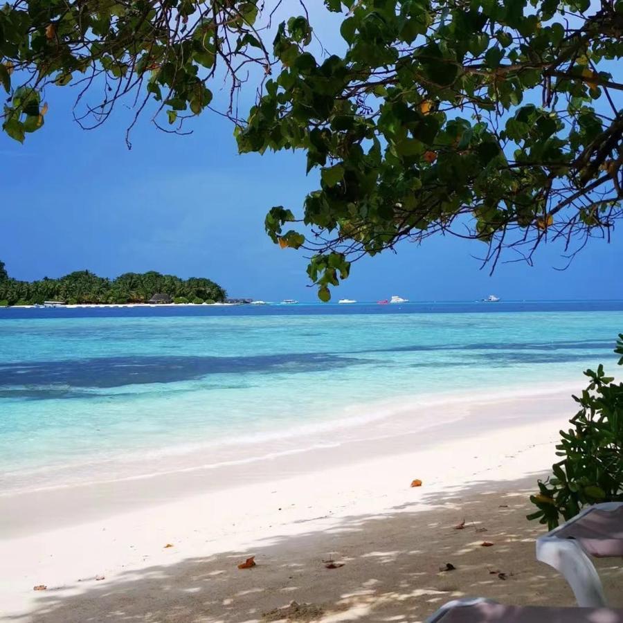 Panda Holiday 中国酒店 中国餐厅 Vx Gsundindi Rasdhoo Eksteriør bilde